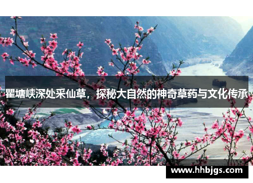 瞿塘峡深处采仙草，探秘大自然的神奇草药与文化传承